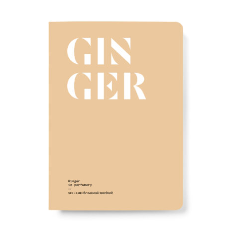 LMR_COUV-GINGEMBRE_EN_MONTAGE