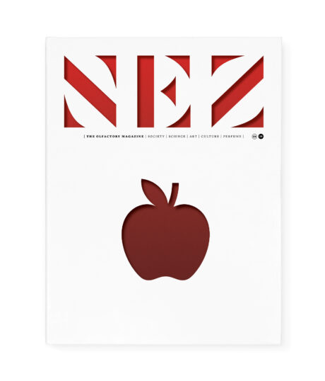 NEZ-19-COUV_EN